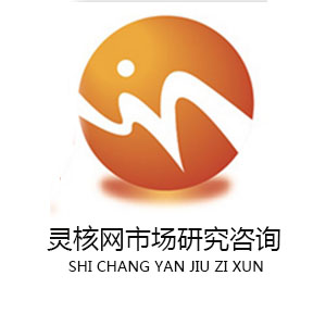 中國旅游市場調研公司