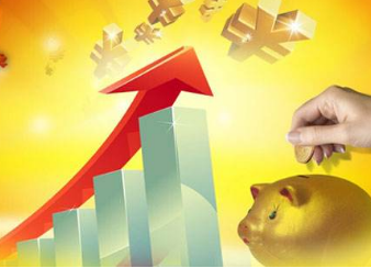 國內行業投資分析報告網 中國行業研究報告網